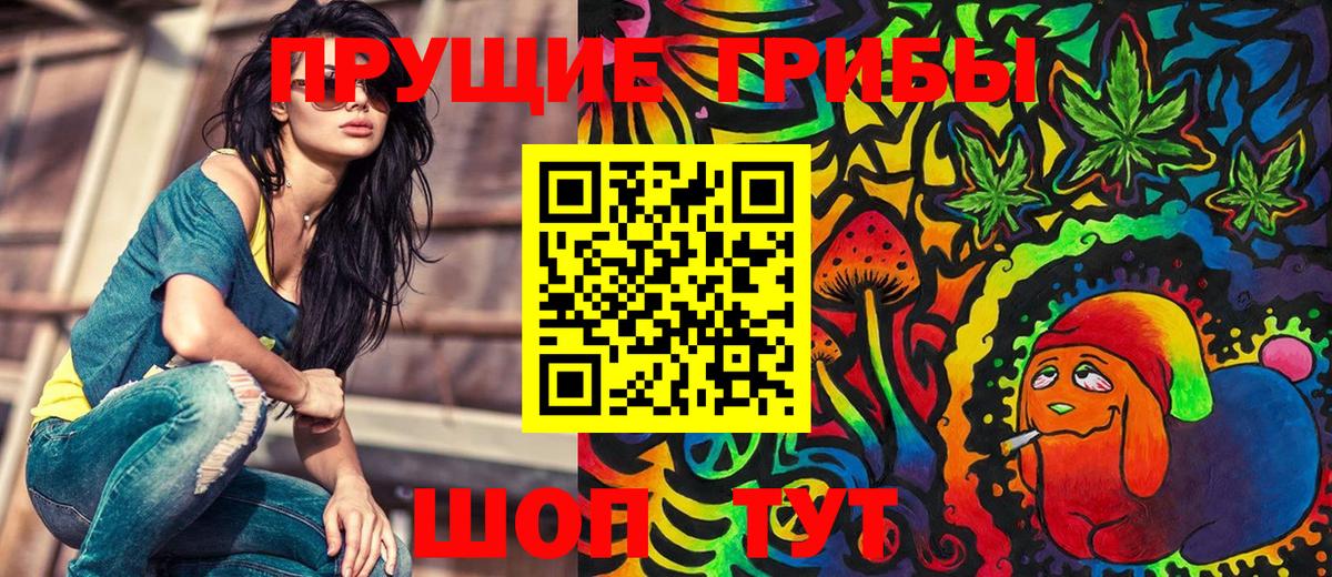 Зеленодольск  сколько стоит  Вход с VPN  Псилоцибиновые грибы MAGIC MUSHROOMS 